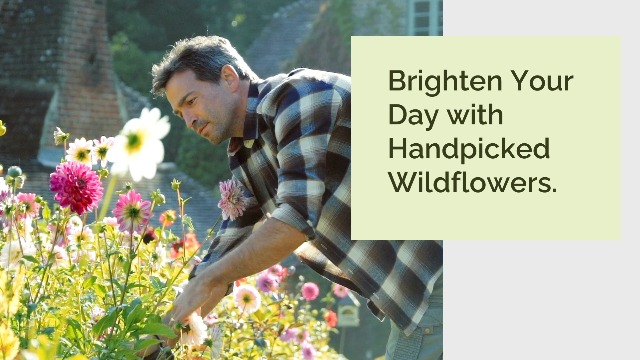 Amazon.com : Eden Brothers North Carolina Wildflower Mixed Seeds